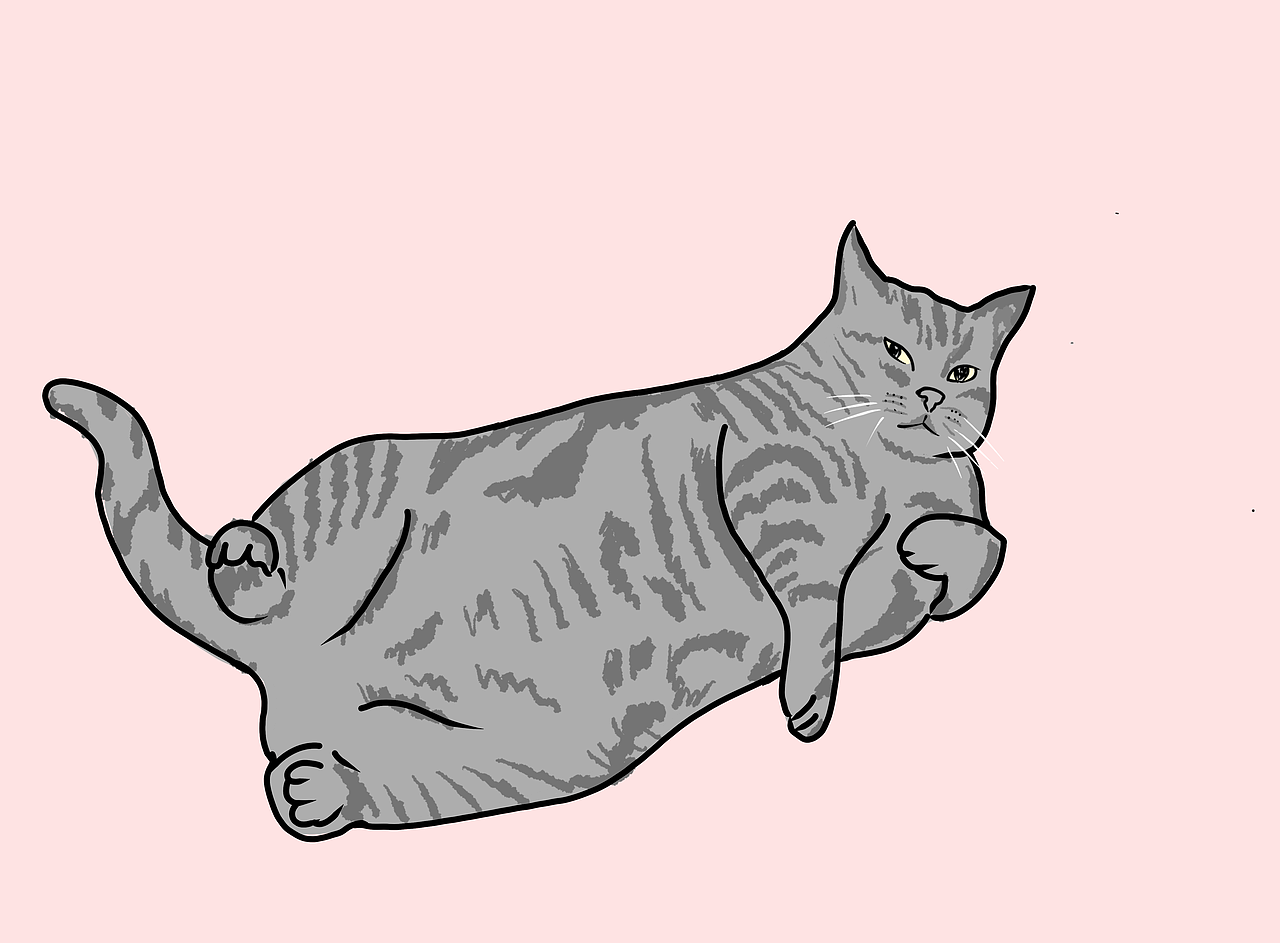 猫咪插画（图ZMjkwNjg4NTM2） - 创作习作 - 站酷设计师ouchuouch原创素材 - 站酷ZCOOL