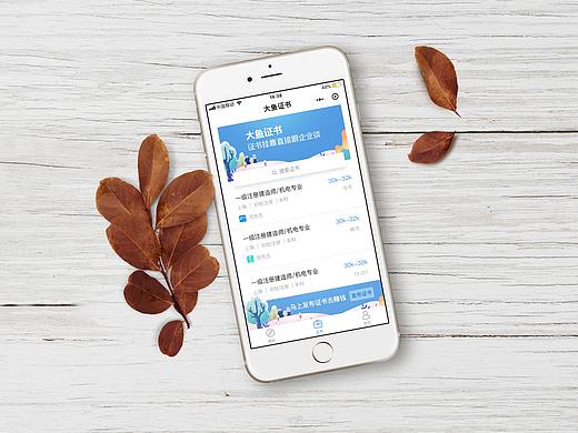 大鱼招聘微信端UI设计