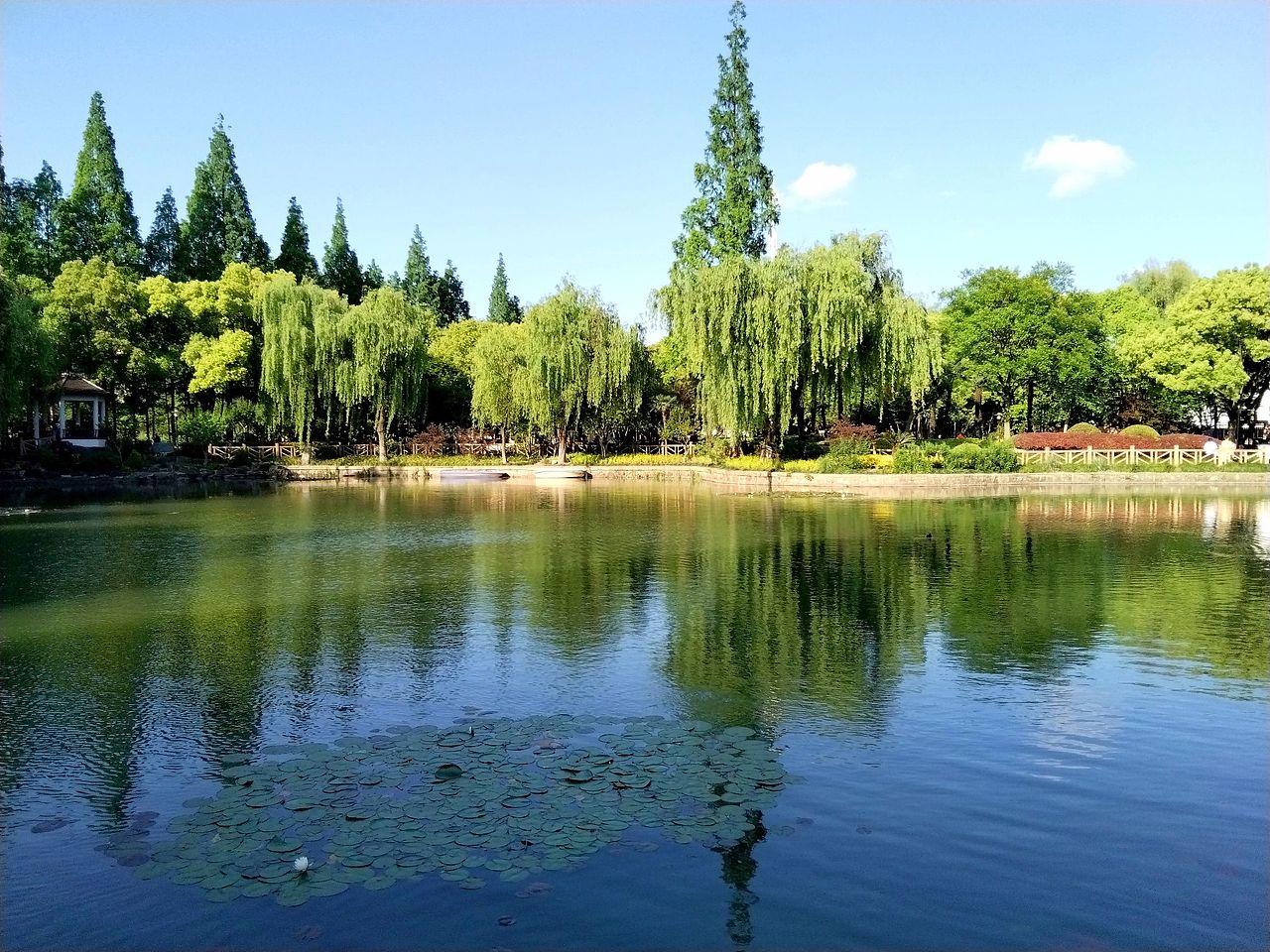 5月打卡,静安.岭南公园