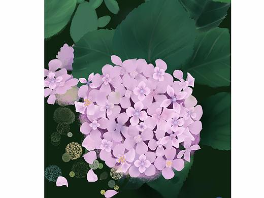 绣球花（个人主页-ZNDE0NTU4NzI=） - 创作习作 - 站酷设计师雪璃原创素材 - 站酷ZCOOL