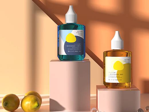 宠物用品案例