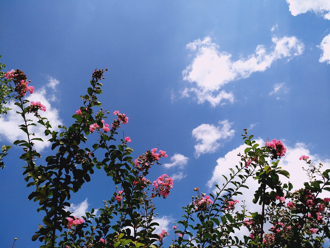 最美大山（图ZOTU1OTY2OTI=） - 绘画 - 站酷设计师slanp7原创素材 - 站酷ZCOOL