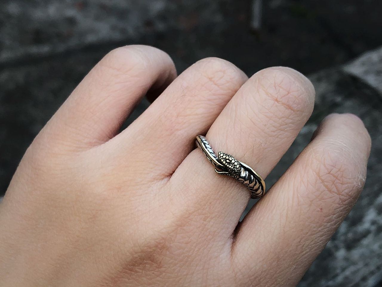 自我吞噬的无限循环衔尾蛇戒指