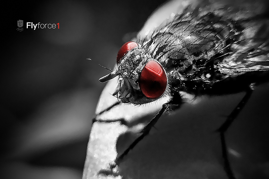 一双慧眼大于脸