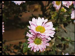 有些是攝影 有點(diǎn)是畫