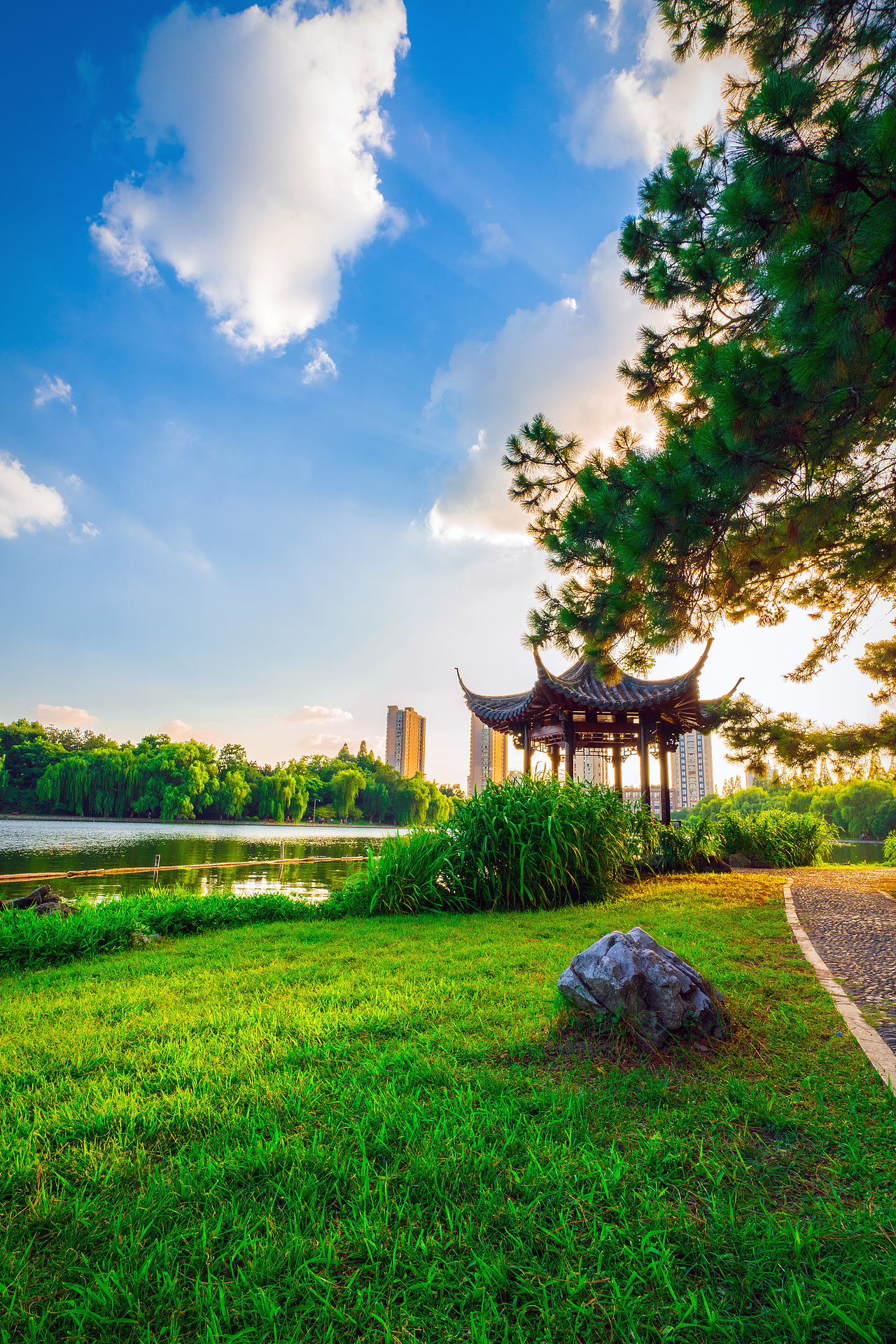 浙大华家池校区夏季风光