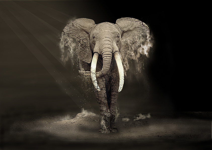 象（圖ZMjcyODQ2MzQ0） - 海報(bào) - 站酷設(shè)計(jì)師故文蝶戀花原創(chuàng)素材 - 站酷ZCOOL