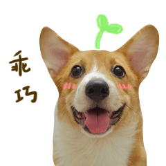 冬菇表情第二弹