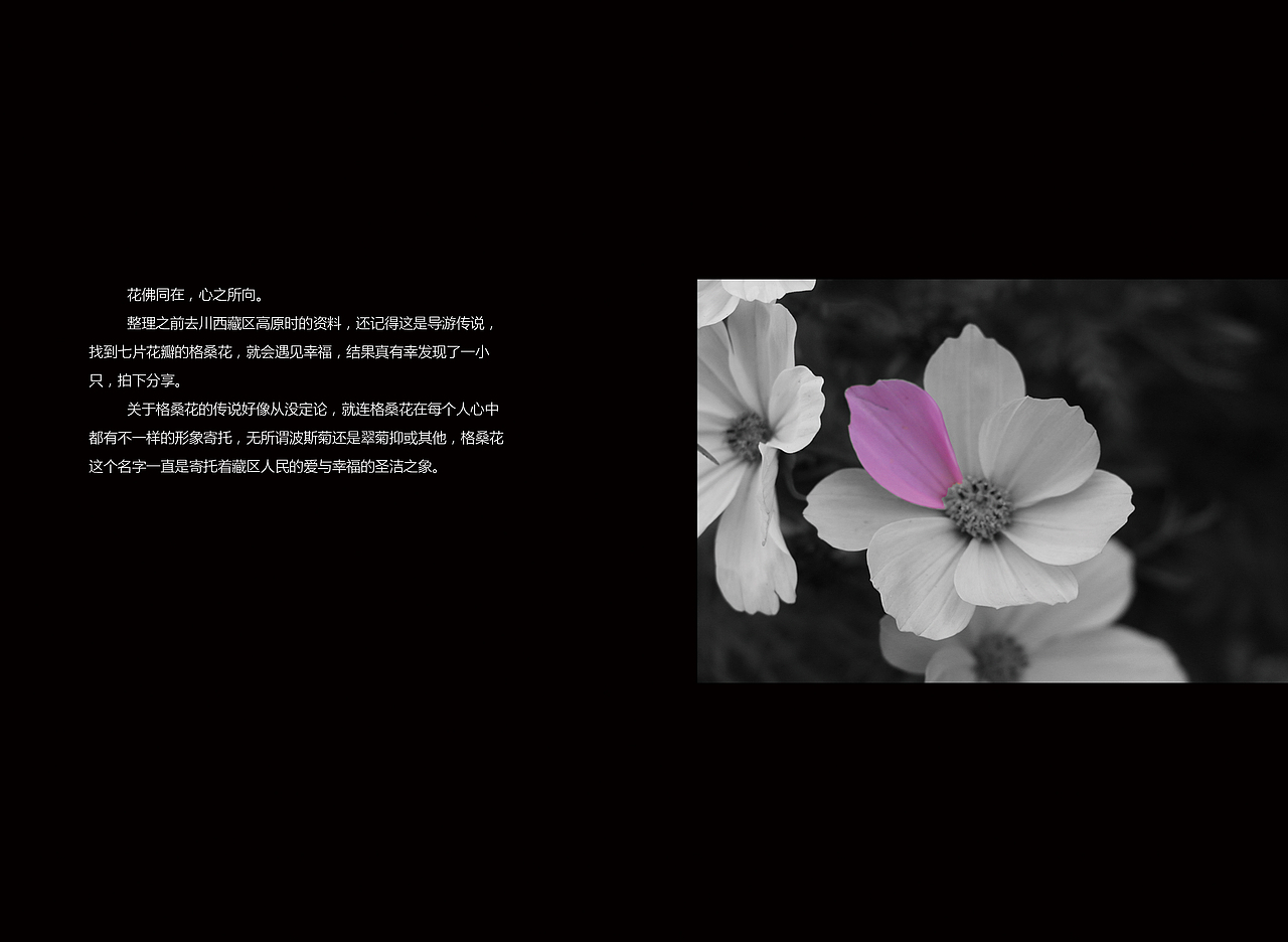《呼吸》行走记-书装插画（图ZOTAwNDYwMTY=） - 书籍/画册 - 站酷设计师兮一柚原创素材 - 站酷ZCOOL