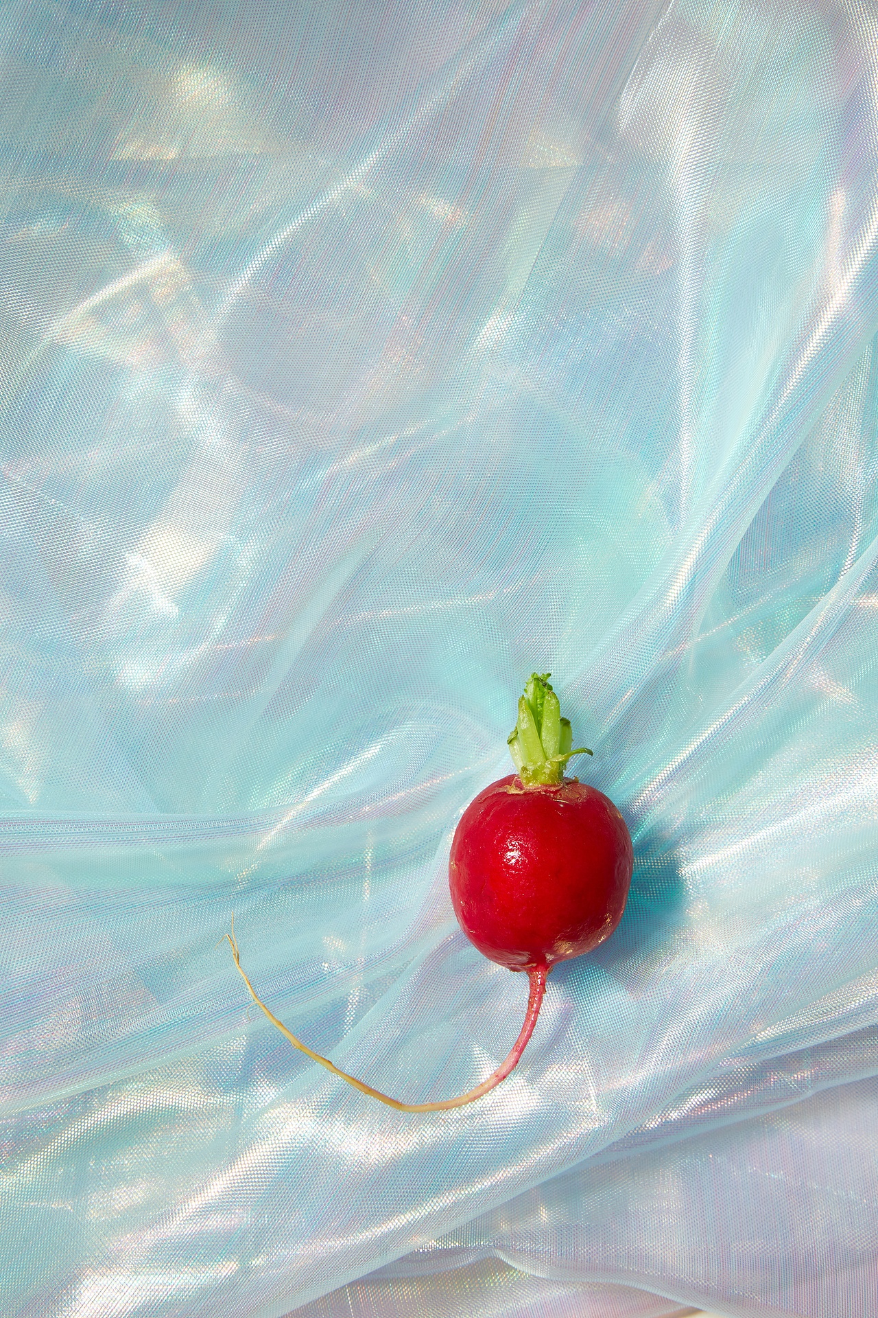 创意拍摄｜蔬菜类集合（图ZMjc0OTkwNTQw） - 美食摄影 - 站酷设计师JanChngLyly原创素材 - 站酷ZCOOL