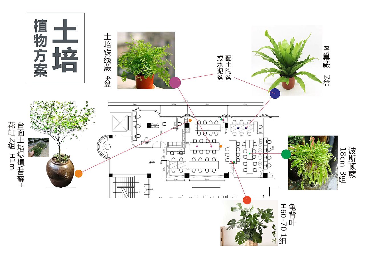 办公室室内绿化实验布置