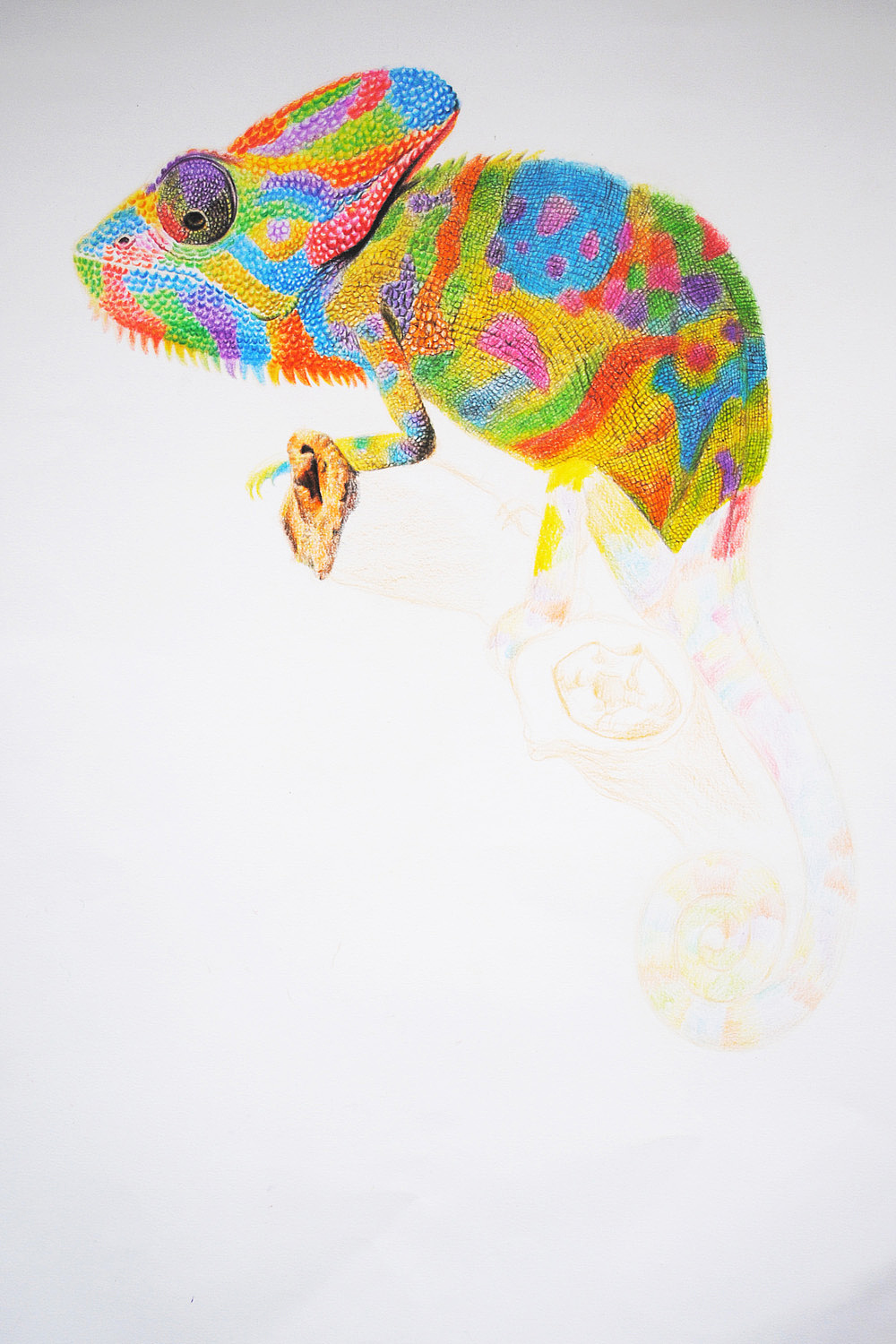 OY彩铅画：变色龙
