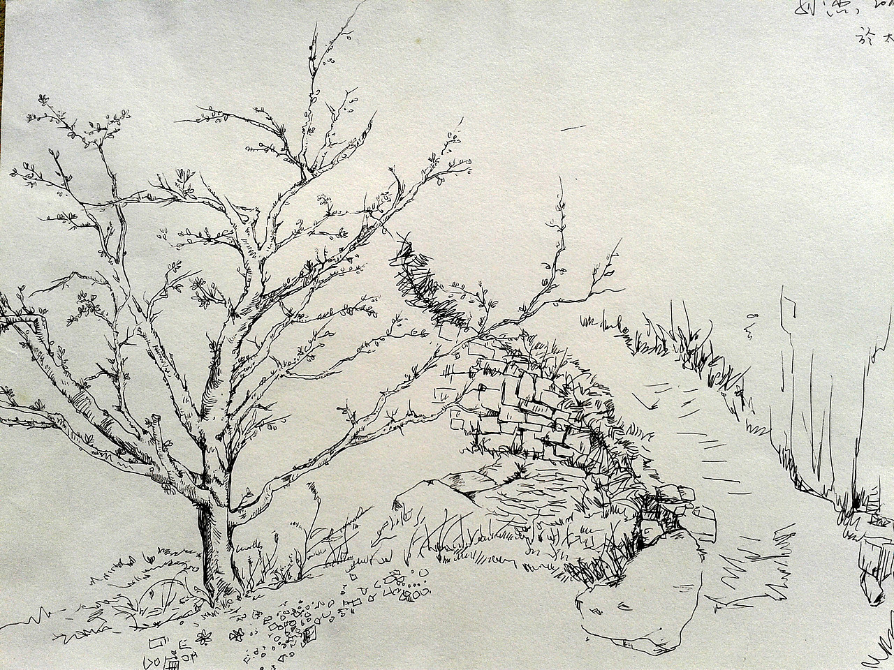 上学时的速写作业写生