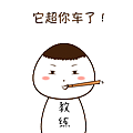 表情包【学车记】