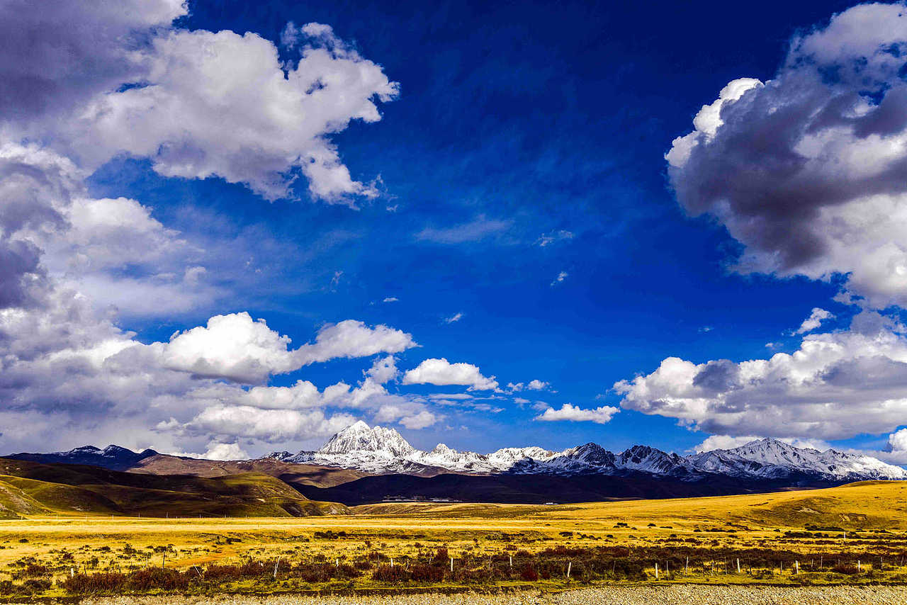 塔公草原眺雪山
