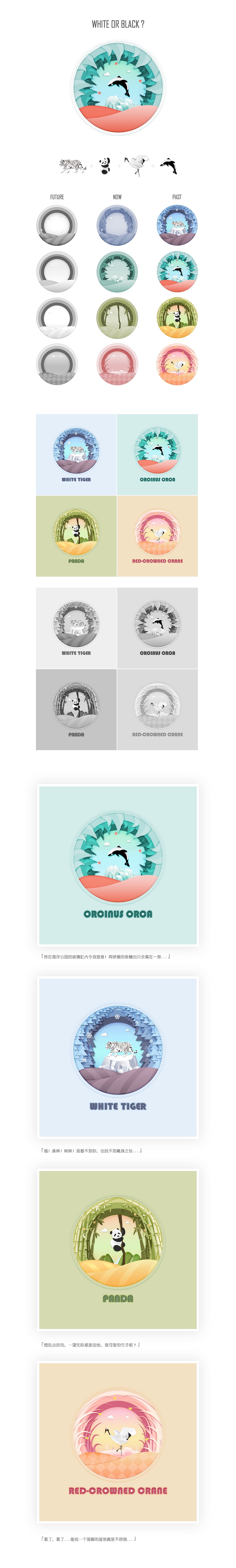 Animals-寻找色彩