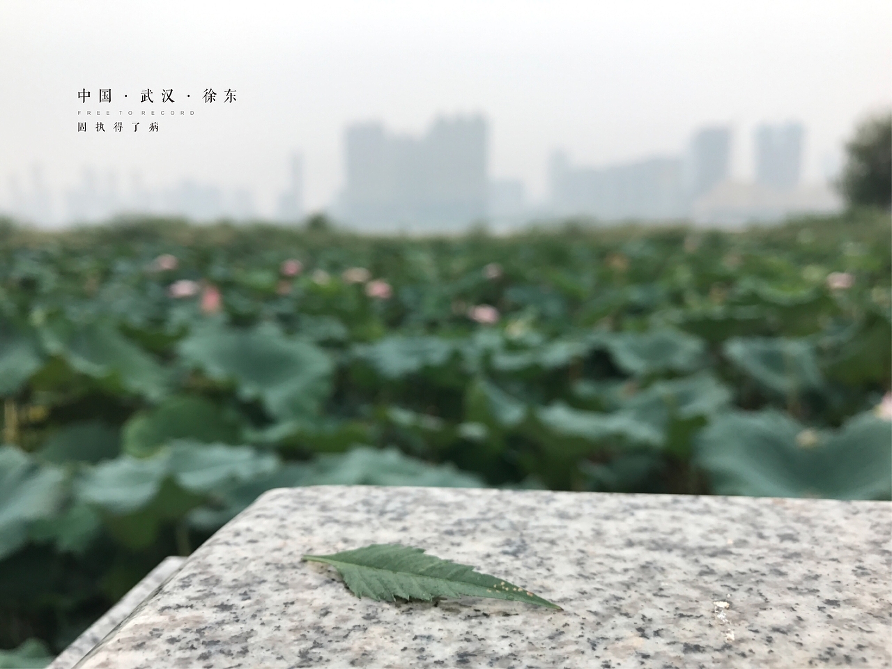 手机拍摄（图ZOTIyMjE2NTY=） - 风光摄影 - 站酷设计师固执得了病原创素材 - 站酷ZCOOL