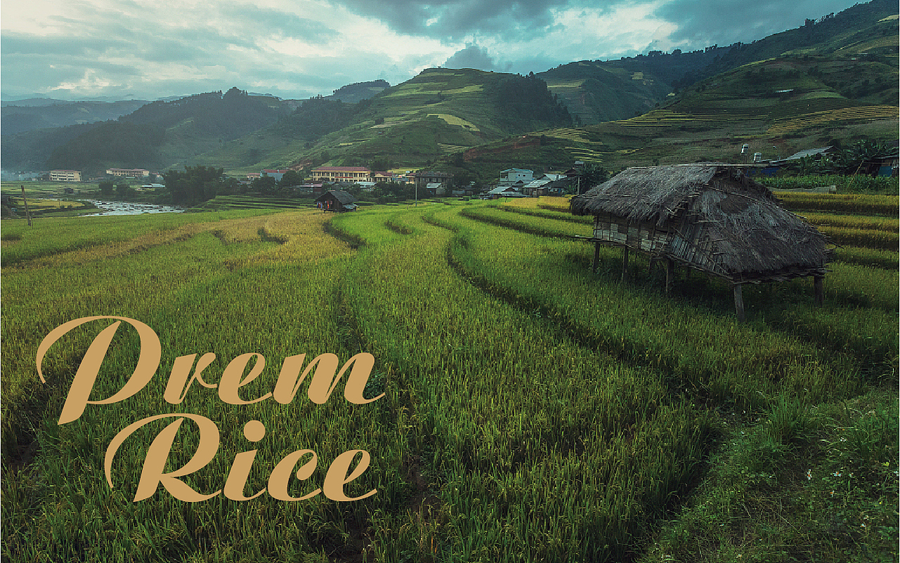 擎天御道 | 產(chǎn)品包裝設計（圖ZMTMyNTYxOTIw） - 包裝 - 站酷設計師有派廣告原創(chuàng)素材 - 站酷ZCOOL