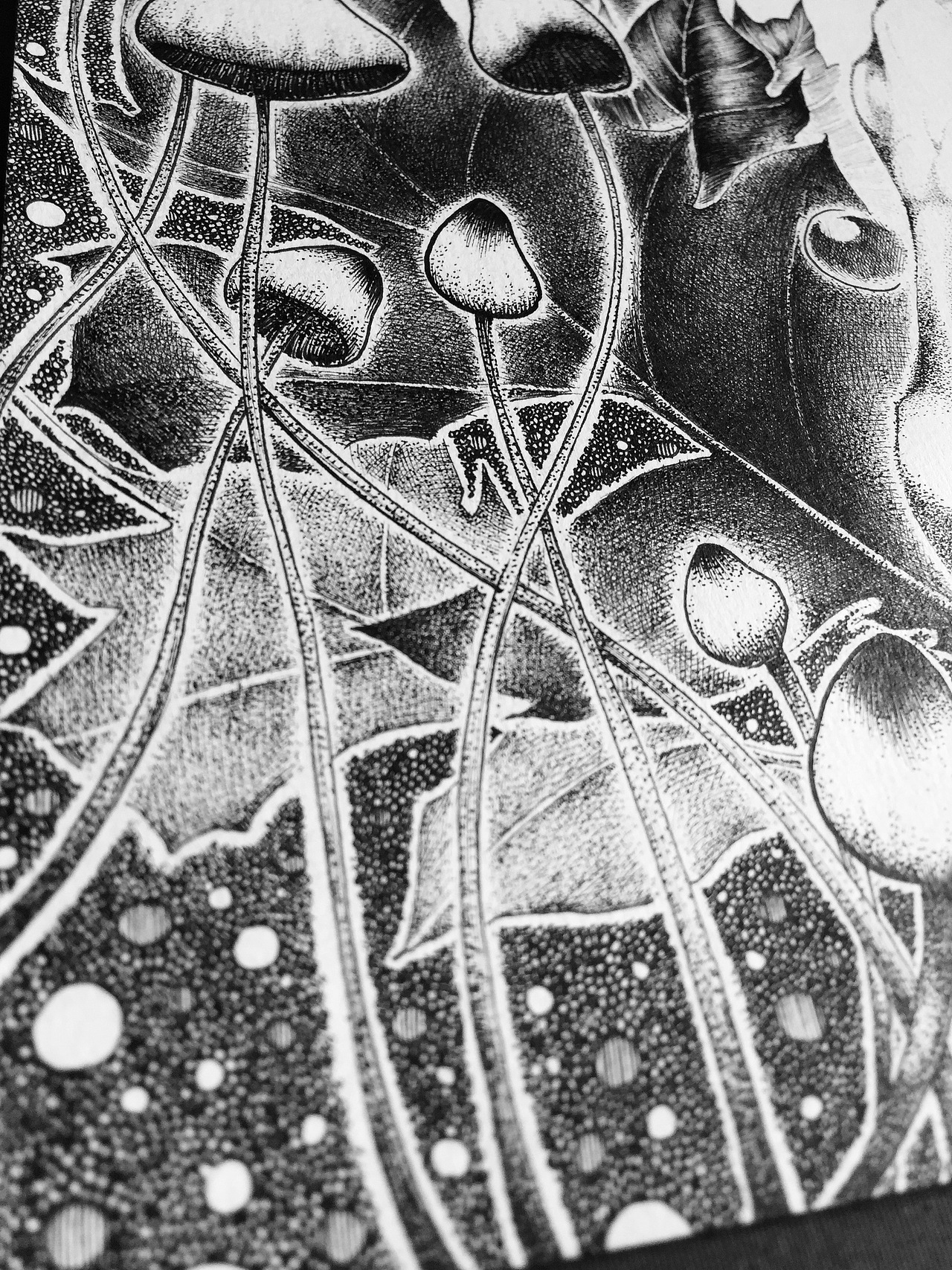 【针管笔】60小时插画作品