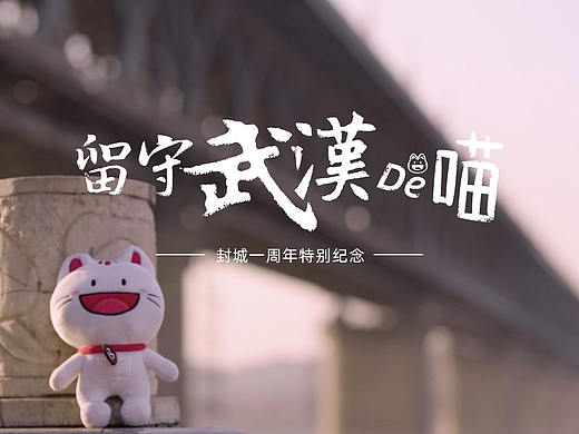 《留守武汉的喵》品牌公益纪录片丨招商银行