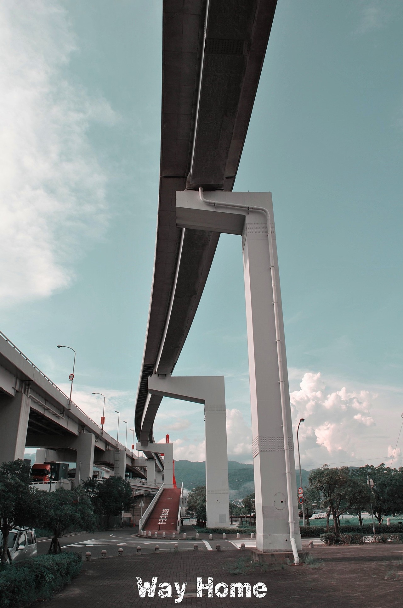 RoyWang作品 Way Home 回家