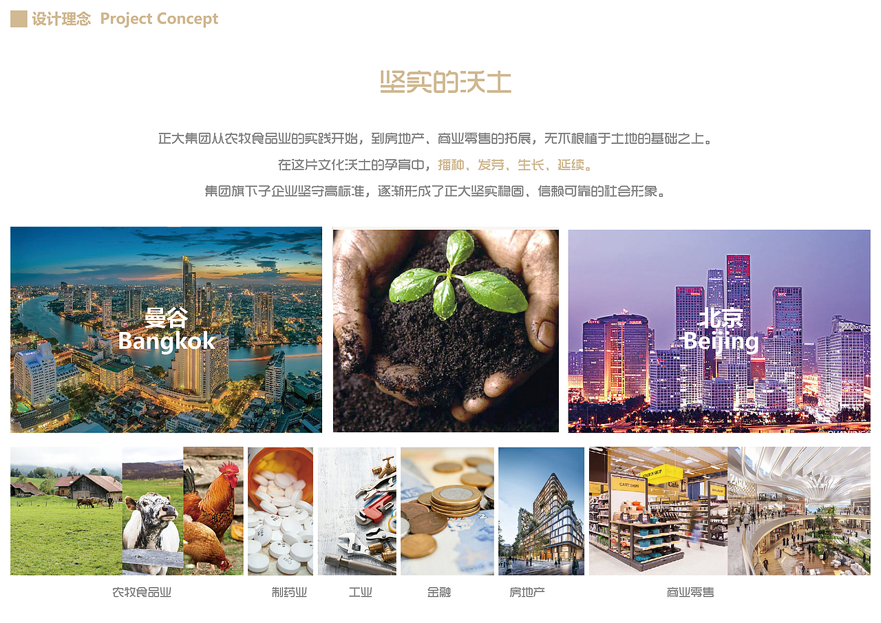 正大集团办公室