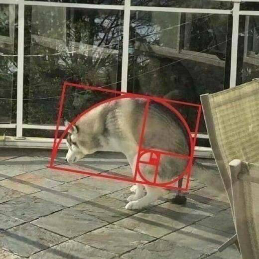 Jack_Ma風(fēng)清揚(yáng)的個人主頁（背景預(yù)覽） - 主頁背景設(shè)置 - 站酷設(shè)計師Jack_Ma風(fēng)清揚(yáng)原創(chuàng)素材 - 站酷ZCOOL