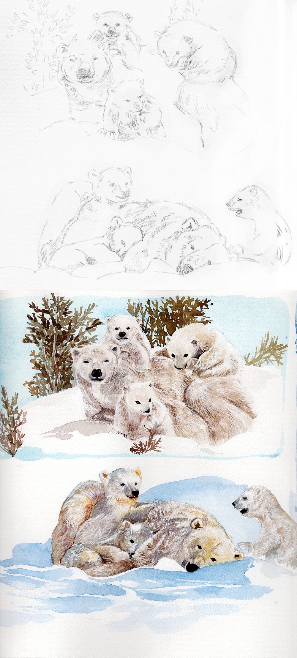 绘本北极熊妈妈