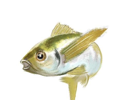 無聊隨便自己畫畫（個人主頁-ZNDI4MTc2OTI=） - 藝術(shù)插畫 - 站酷設計師vivi3532原創(chuàng)素材 - 站酷ZCOOL