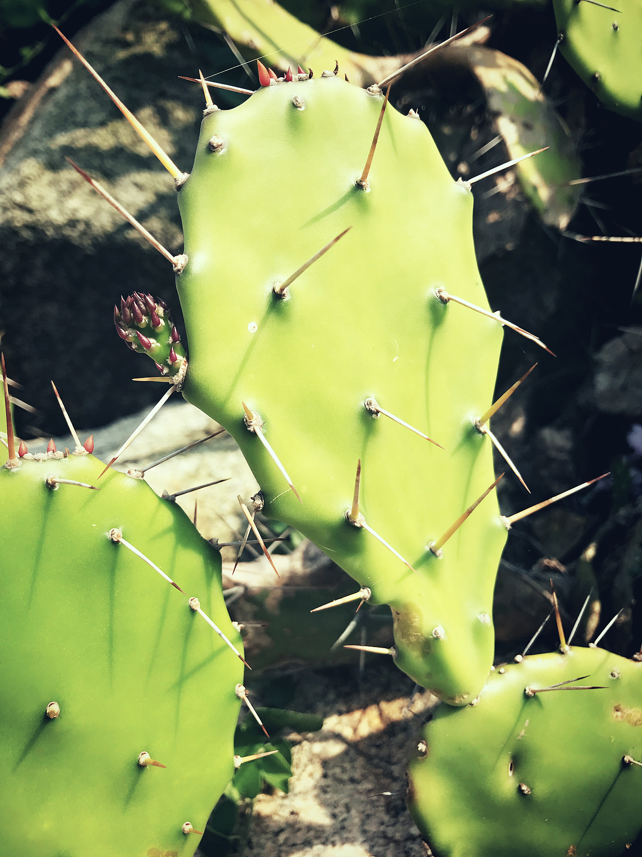 夏天的颜色（图ZMTY5NDE4ODky） - 人文/纪实摄影 - 站酷设计师彳墨原创素材 - 站酷ZCOOL