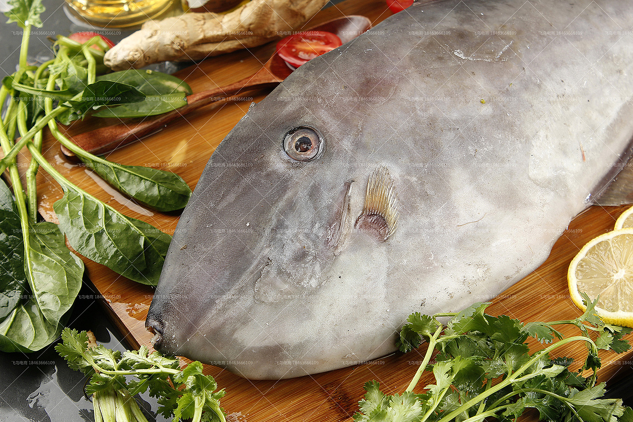 拍照又认识了一堆鱼鱼虾虾丨海鲜拍起来丨飞鸟电商