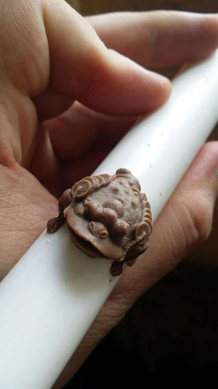 唐狮，大圣，一念之间重制缩小版，两个新作，斯巴达头盔，招财金蟾（图ZNTcxMjE3NzY=） - 首饰设计 - 站酷设计师盐汤儿原创素材 - 站酷ZCOOL