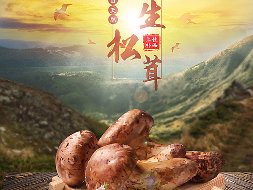 松茸