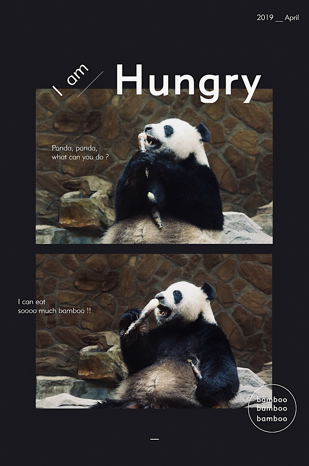 【摄影作品】成都熊猫