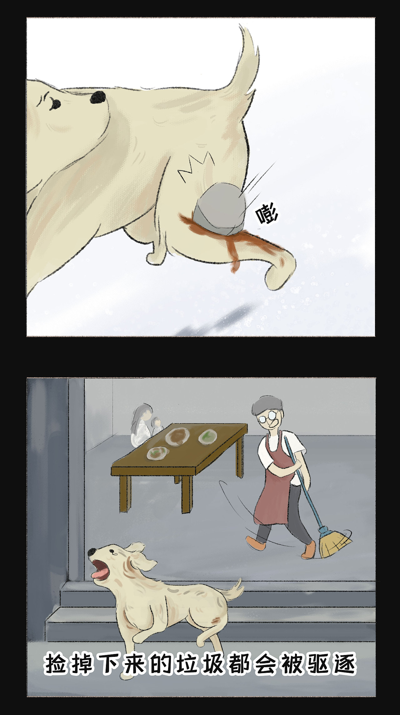 那些被遗弃的宠物都去哪儿了?