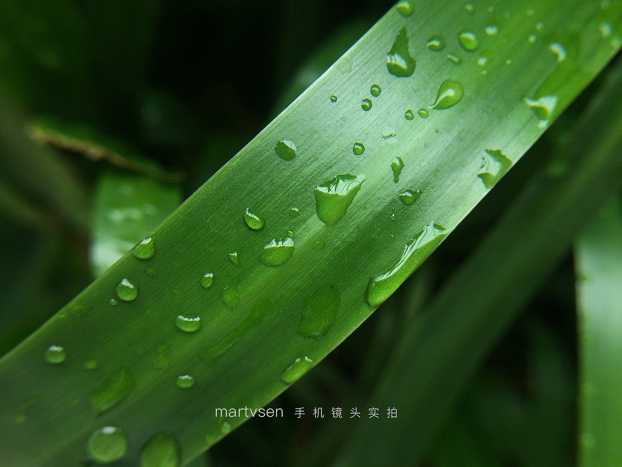 不一样的手机摄影作品
