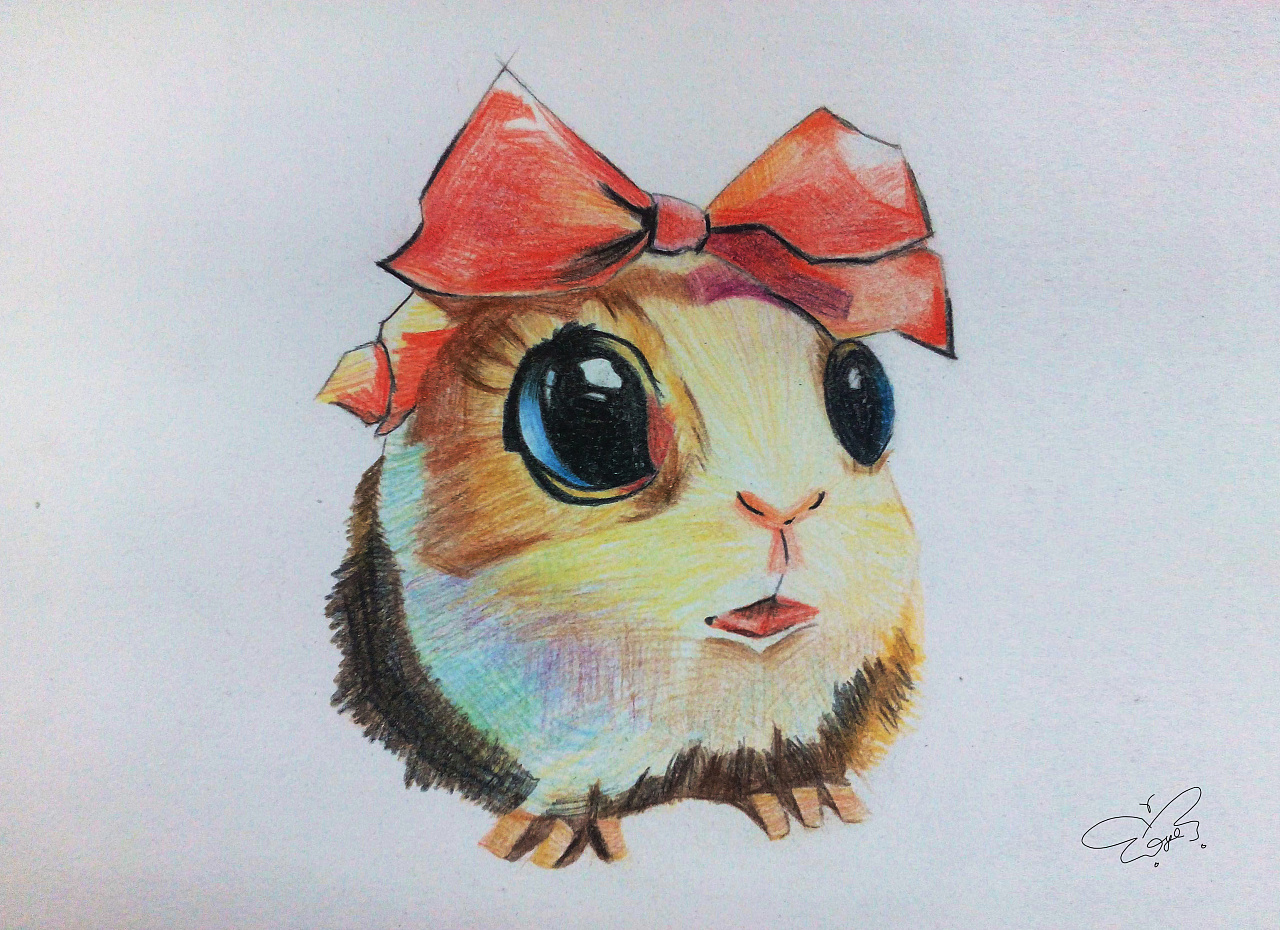 手绘练习 小仓鼠