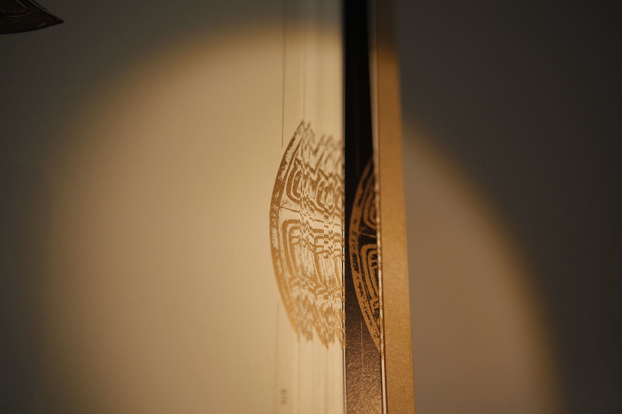 《水乡泽国》书籍装帧