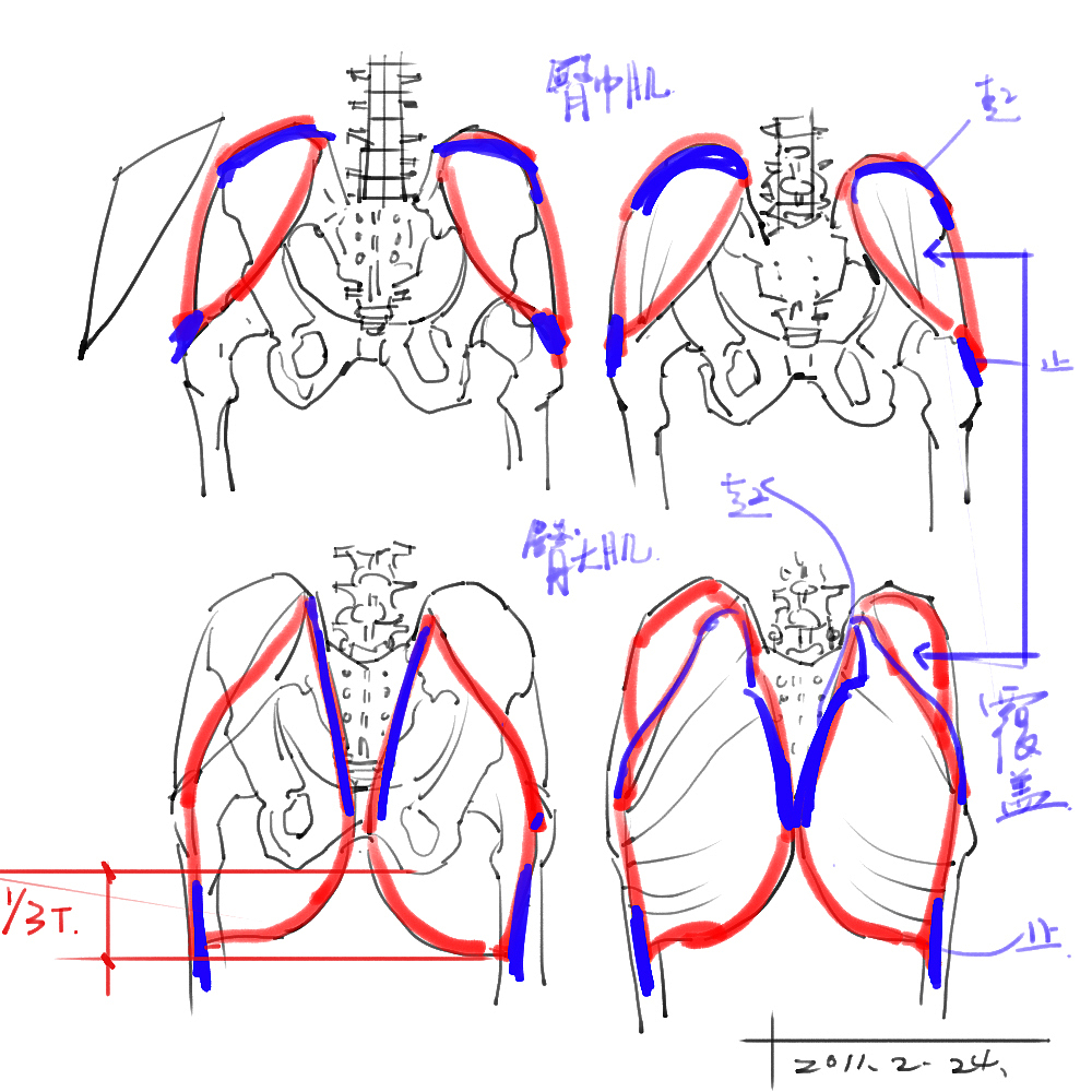 「素材」分享一波绘画专用人体解剖素材 part 02