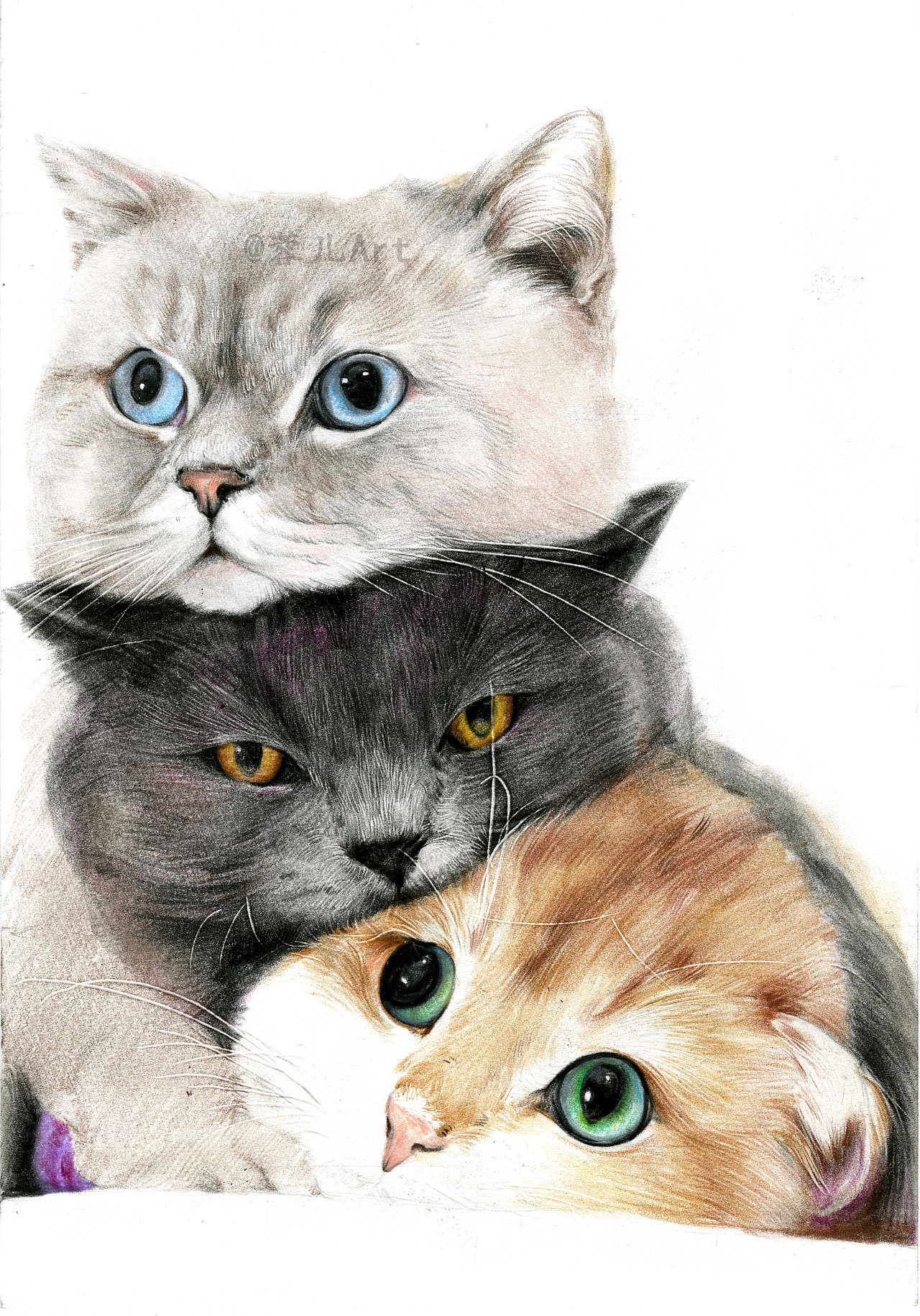 手绘-彩铅-猫猫|纯艺术|绘画|Hazel_Art - 原创作品 - 站酷 (ZCOOL)