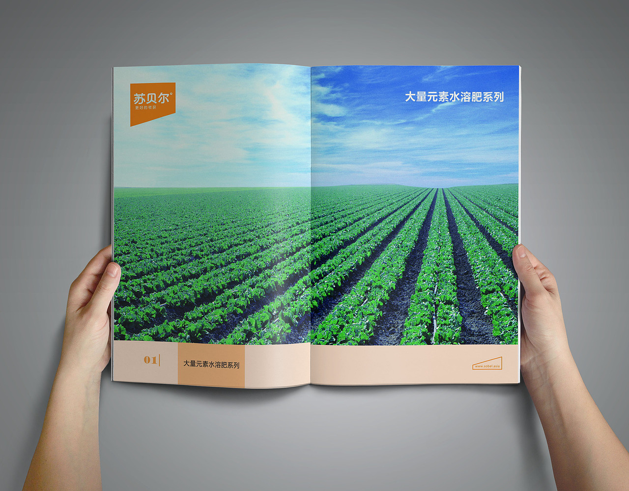 企业手册-vi形象系列