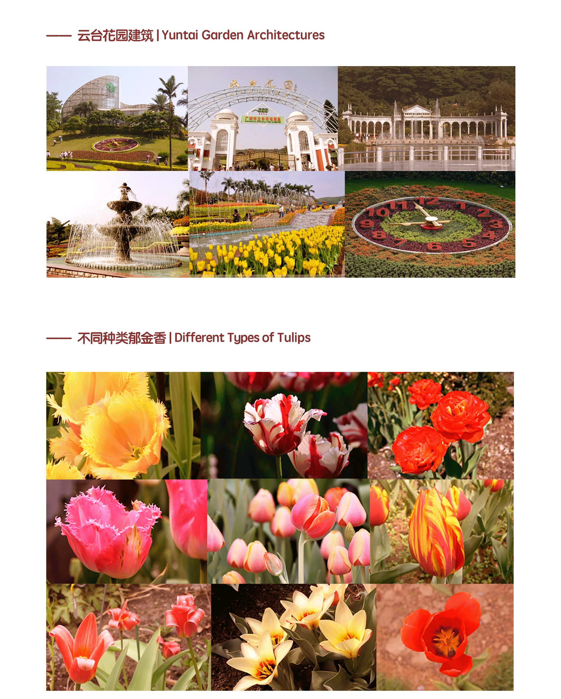 2019 - 2020 csx portfolio v.2