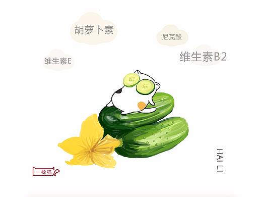 每日一枕猫／营养片