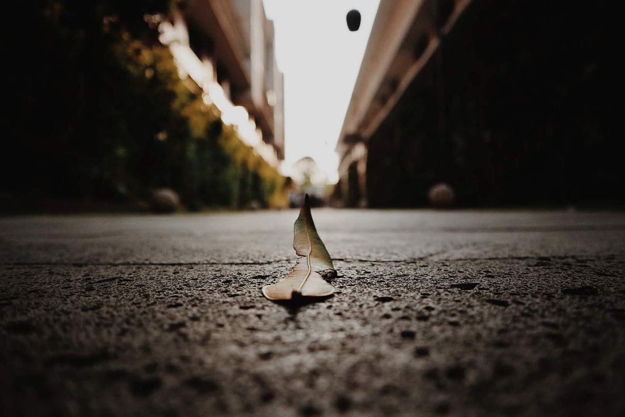 5.1正在尝试不同的风格拍摄