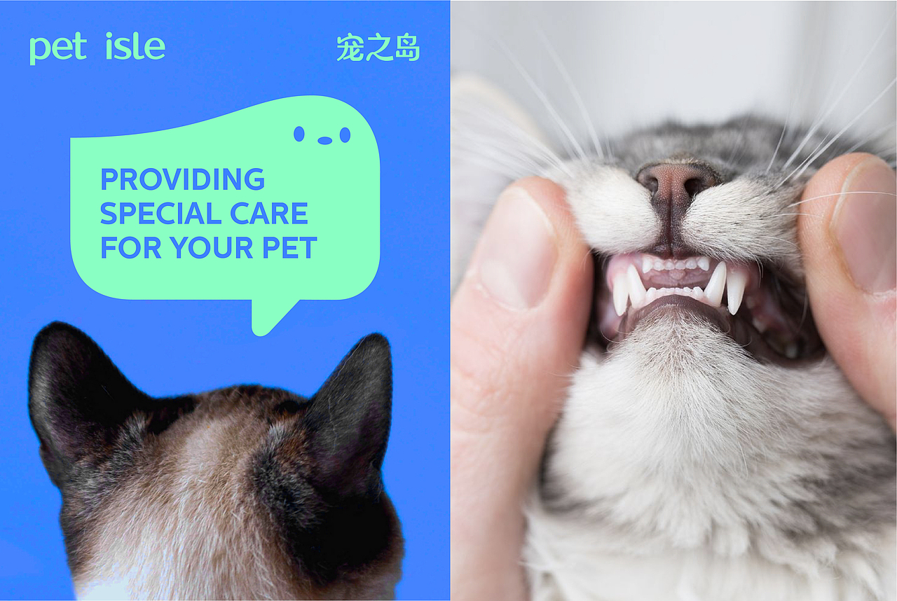 pet isle 宠之岛 | 萌宠医疗品牌设计