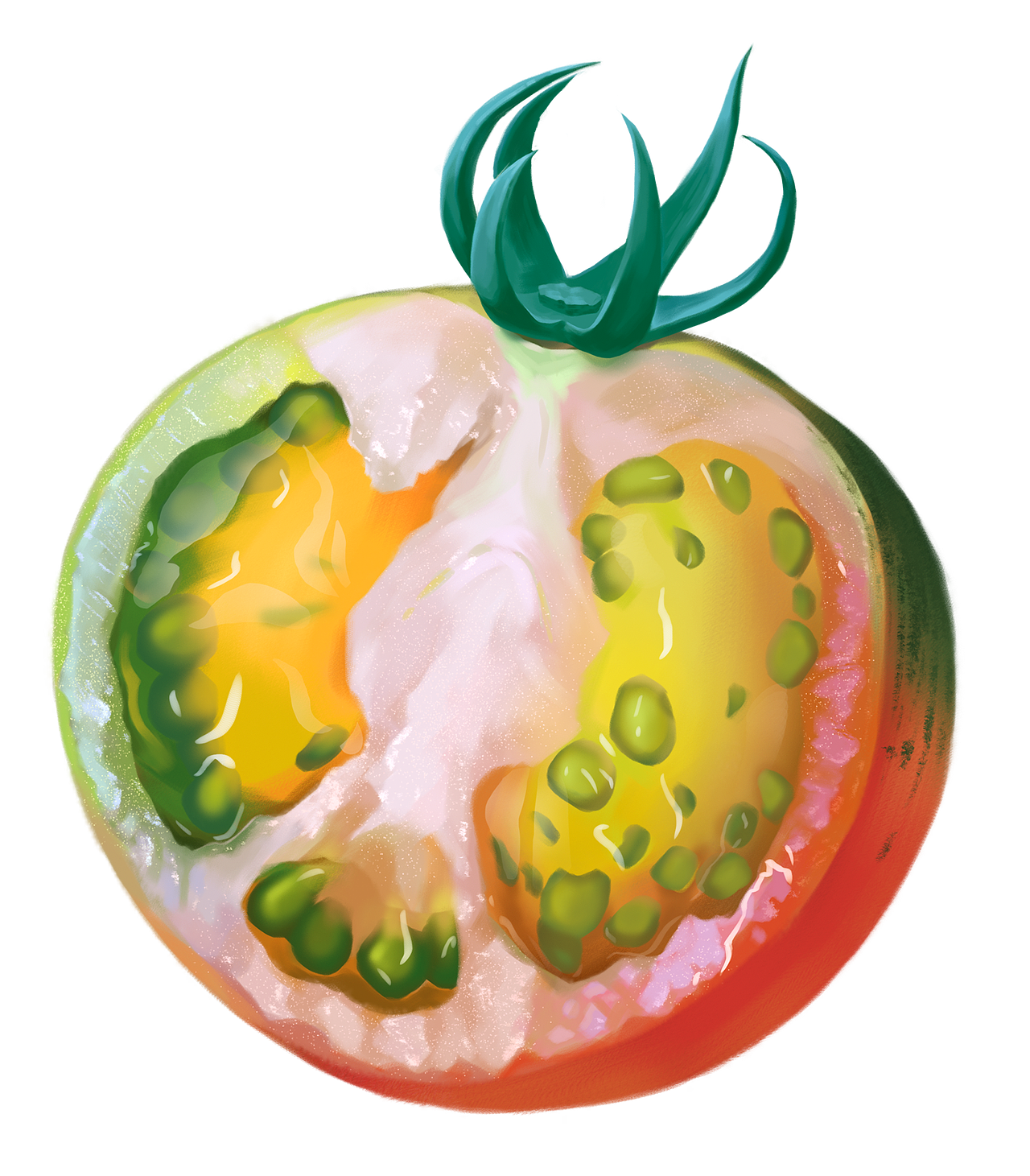 原创手绘铁皮柿子包装设计写实插画厚涂