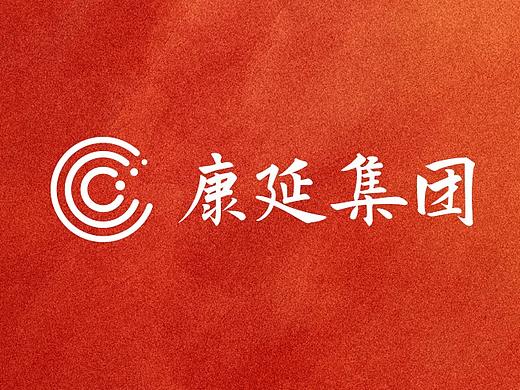 康延集团视觉识别系统VI设计