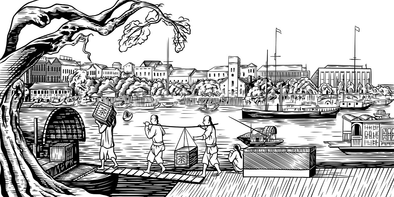 大庭工坊 白茶包装插画设计（图ZMzYyMDAzOTEy） - 商业插画 - 站酷设计师挨牧西西原创素材 - 站酷ZCOOL