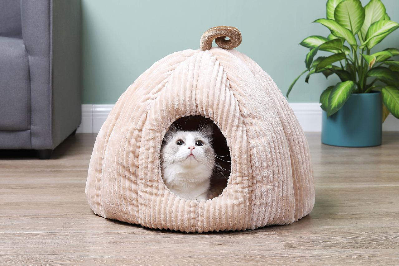 宠物产品摄影|南瓜猫窝