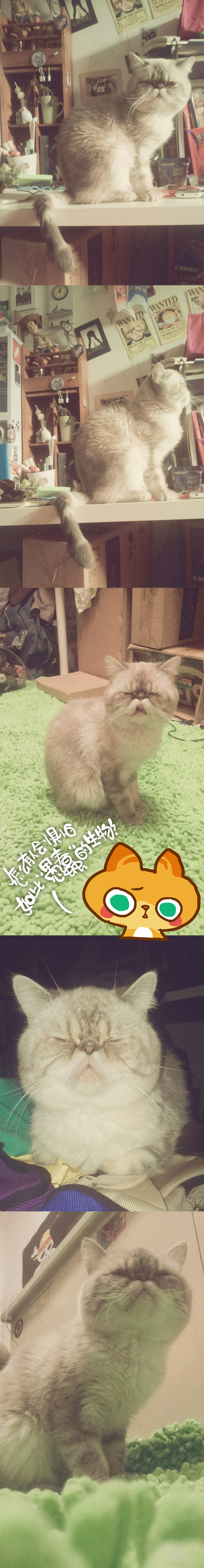 我的家的二大宝新专辑!《拜基vs反丁》~啊哈哈最新弹~